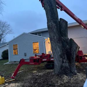 Captain Tree Service of Buffalo