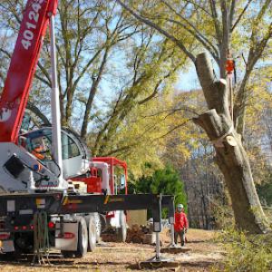 R & R Tree Service