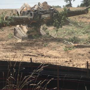 America Tree Service