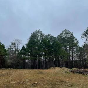 Cross Cut Tree Service & Land Clearing