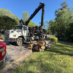 GreenForce Grapple Services