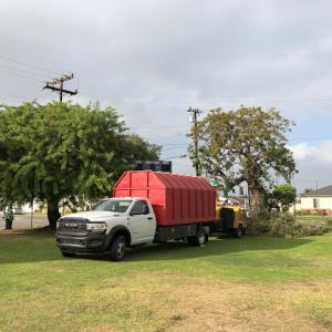 Sapwood Tree Care & Landscape