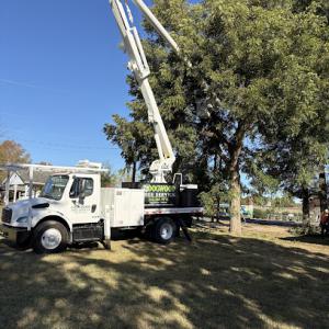 Dogwood Tree Service