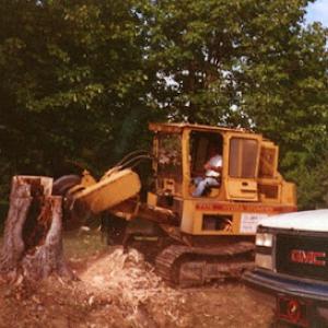 J B's Tree & Yard Services