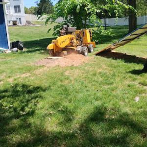 Firewood Unlimited Tree Service, Landscaping