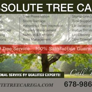 Absolute Tree Care