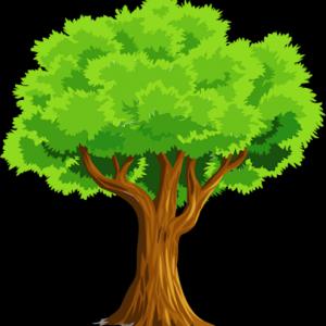 Susquehanna Valley Tree