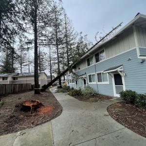 Obelisk Landscape Irrigation Services