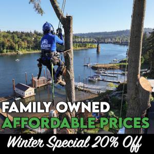 NW Premier Tree Services