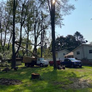 Topside Tree Service