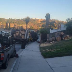 TSL Tree Service & Landscaping