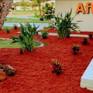 Clean View Tree Services