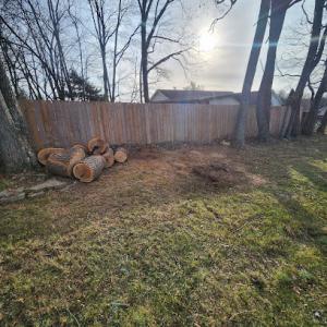 Capital tree service & landscape