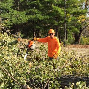 Gabriel's Landscape & Tree Services