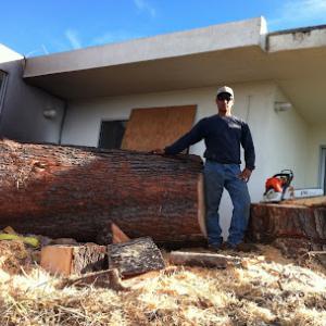 Vaca Tree & Land Care