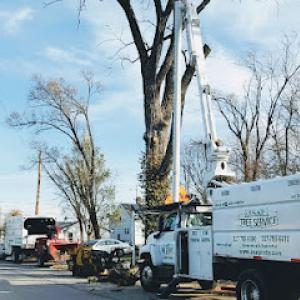 ASAP Tree & Crane Services