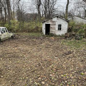 Chase Crockett’s Tree Care