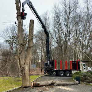 Christian Tree Service