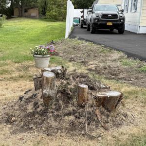 Upstate Stump Grinding