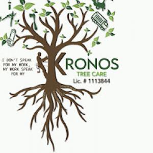 Kronos Landscape