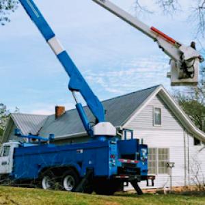 Rutherwood Tree Removal & Sawmills