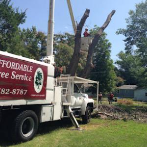 Affordable Tree Services