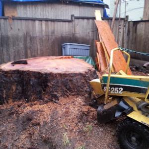 East Bay Stump Removal