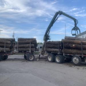 Steimel Tree Service