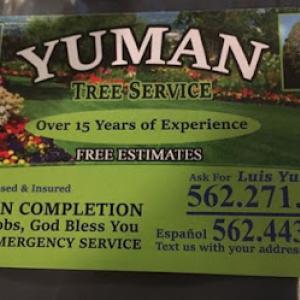 Yuman Tree Service