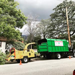 H & E Tree Service