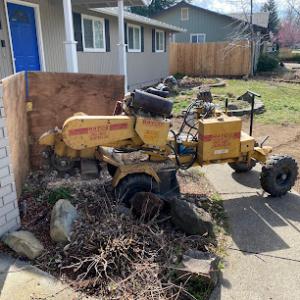 Jackson County Arborist