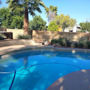 Palms & Trees USA Inc (Palms & Trees Landscaping )