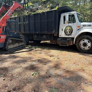 Tree Assault Tree Care