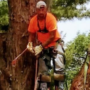 Fields Tree Services