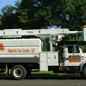 Palmetto Tree Service