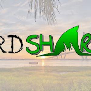Yardsharks Of Charleston