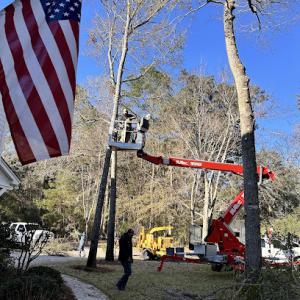 Stafford Tree Service