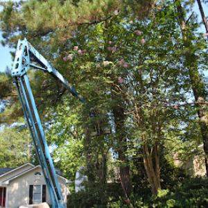 Keating Tree Service