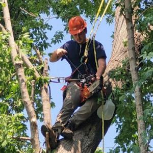 Eden Tree Care