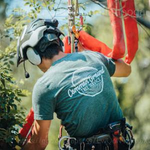Common Ground Chattanooga Tree Service