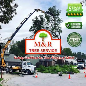 M & R Tree Service