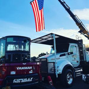 Cipully Tree Service