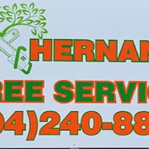 M-C Hernandez Tree Services