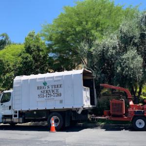 Reg's Tree Service