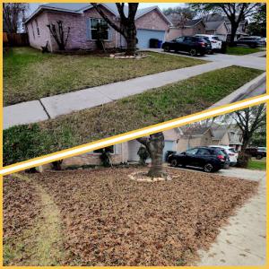 Emerald Horizon Lawncare