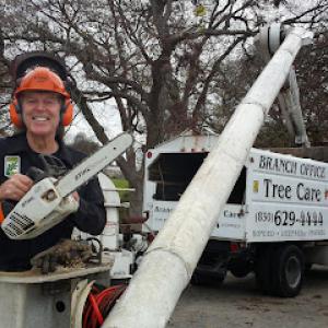 Branch Office Tree Care