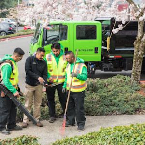 Crystal Greens Landscape