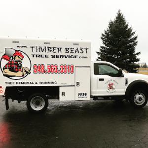 Timber Beast Tree Service