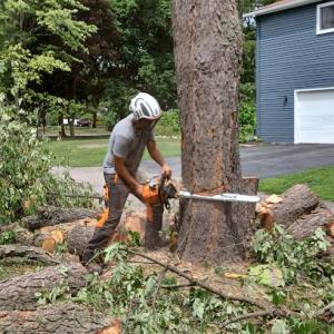 Tough Timber Tree Service