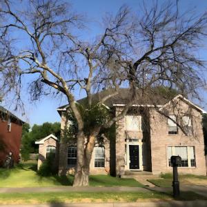 Castaneda Tree Service